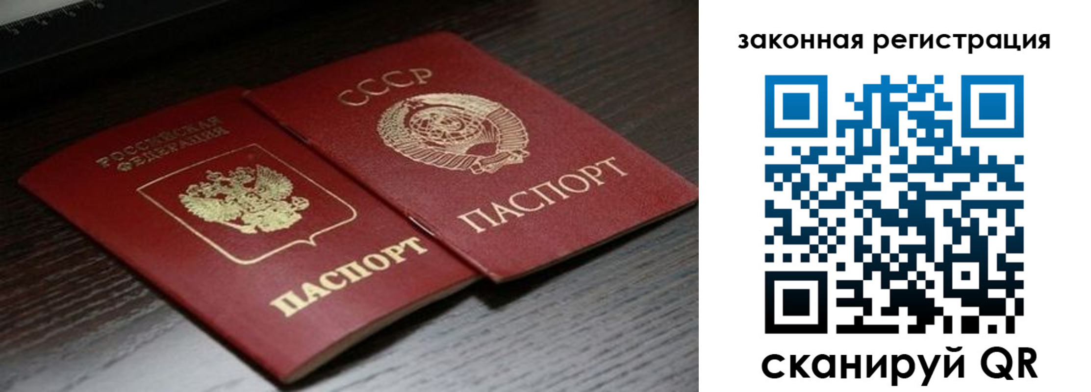 прописка поиск в Ковылкино